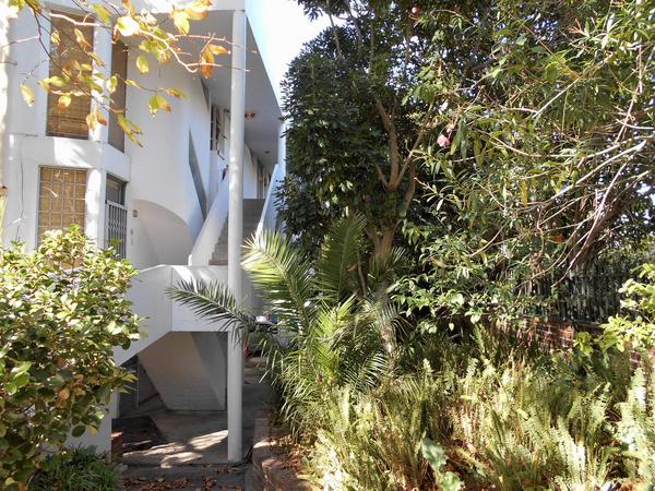 Property For Rent in Rondebosch, Cape Town
