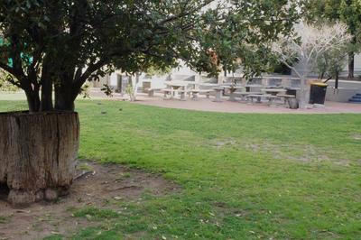 Apartment / Flat For Rent in Zonnebloem, Cape Town
